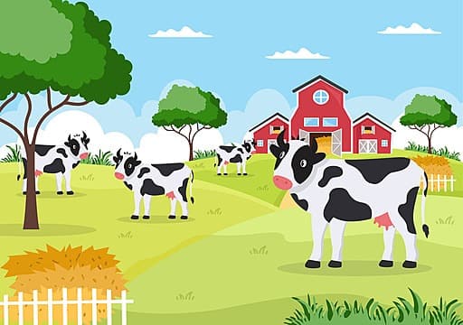 Milk farm